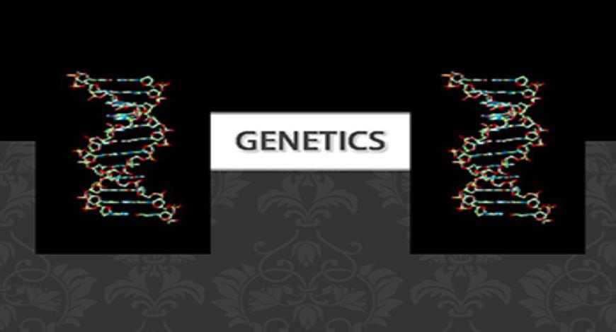 Download Free Medical Genetics PowerPoint Presentation