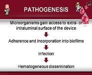 Percutaneous intravascular devices infections PowerPoint Presentation