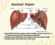 Hepatitis PowerPoint Presentation