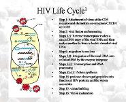 Free HIV and Aids PowerPoint Presentations | MedicPresents.com