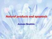 Natural product and Apoptosis