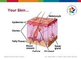 Skin Cancer