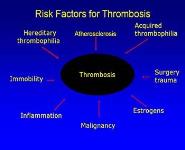 Thrombophilia-Hypercoagulable States PowerPoint Presentation