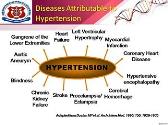 Diagnosis and management of Hypertension