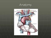 Thoracic Great Vessel Injuries