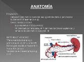 Pancreatitis