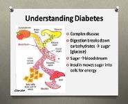 Diabetes Basics PowerPoint Presentation