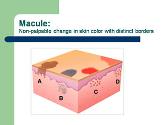 The Fundamentals of Dermatologic Diagnosis