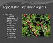 Review of Topical Skin Lightening Agents PowerPoint Presentation