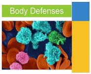 Immune System - Guarding against disease PowerPoint Presentation