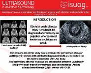 Levator ani muscle morphology and function in women with obstetric anal sphincter injury PowerPoint Presentation