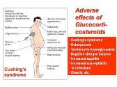 Steroid Hormones