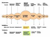 General Pharmacokinetics