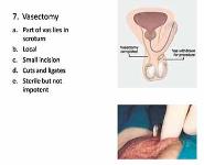 Reproductive Biology PowerPoint Presentation