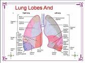 CHEST PHYSIOTHERAPY