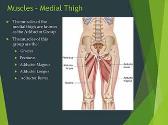 Injuries of the Thigh Hip Groin and Pelvis