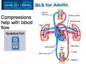 BLS for Adults