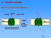 Cholinergics and anticholinesterases