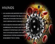 HIV-AIDS Information PowerPoint Presentation