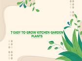 7 Easy to Grow Kitchen Garden Plants