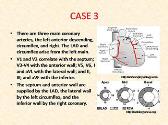 Cardiac Physiology