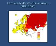 Epidemology of Cardiovascular Disease-CVD PowerPoint Presentation