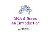 DNA and Genes An Introduction