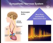 Hemorrhagic Shock PowerPoint Presentation