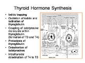 Thyroid Emergencies