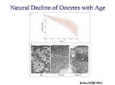 Fertility in Cancer Patients