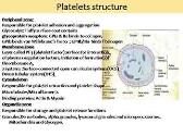 Blood Cells-Platelets-Thrombocytes