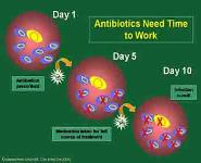 Antibiotic Resistance PowerPoint Presentation