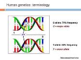 A brief history of imaging genetics