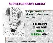 Anomalies of Genito-Urinary Tract PowerPoint Presentation