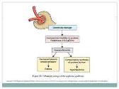 Nephrotic Syndrome