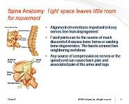 Biomechanics of thoracic spine ppt