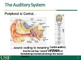 Hearing Loss in The Geriatric Population