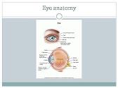 Eye Ear Nose and Throat Infections