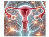 Gynecologic Endocrinology: Hormonal Regulation in Female Reproductive Health