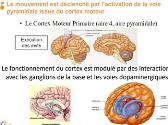 Old Age Parkinson Disease