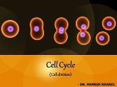 Cell Cycle Cell Division