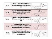 New Thiazol Hydrazono Chromen